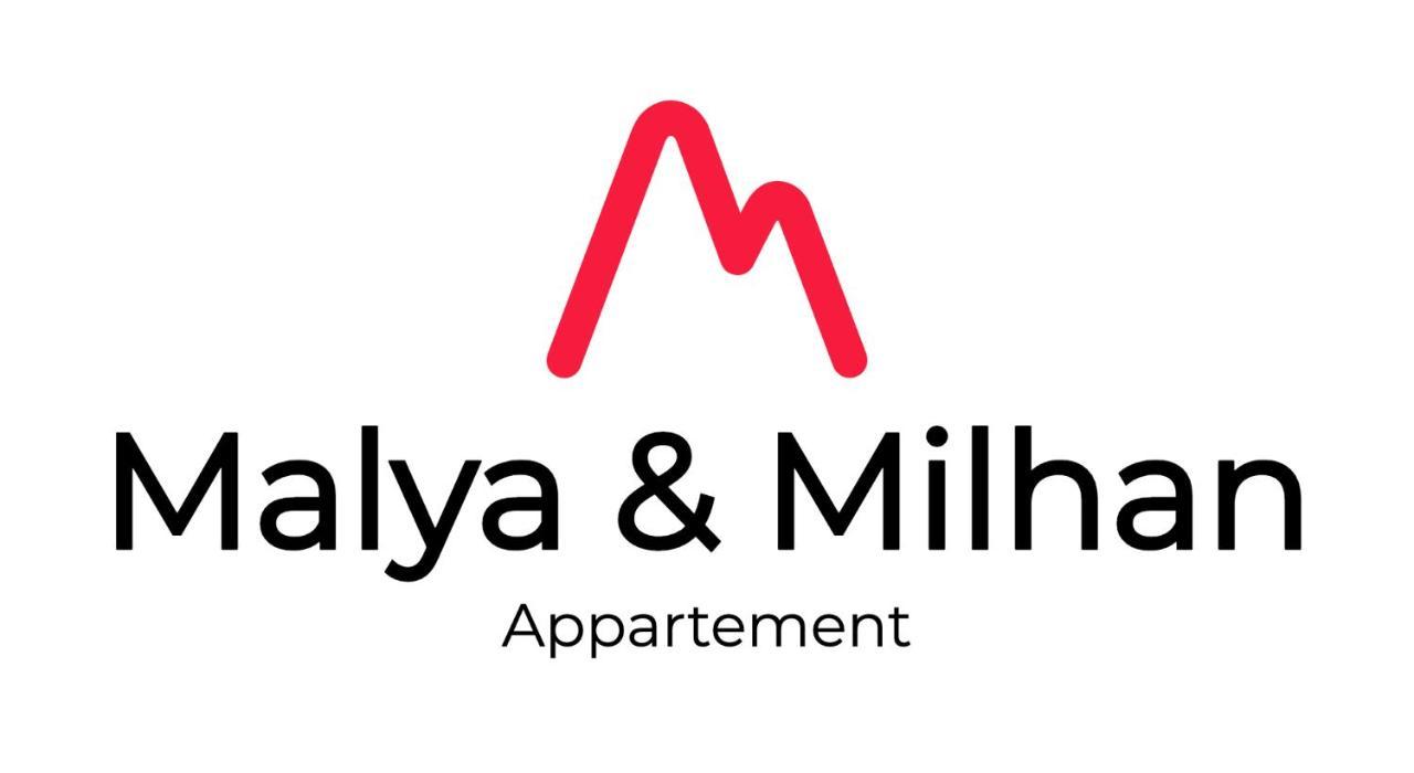 Appartement Milhan Quartier Aigle Championnet Γκρενόμπλ Εξωτερικό φωτογραφία